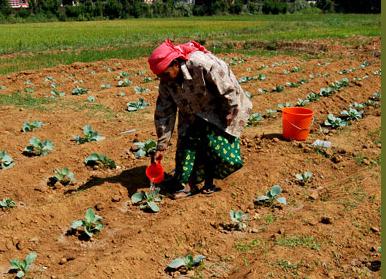 India links WTO trade facilitation to food security 