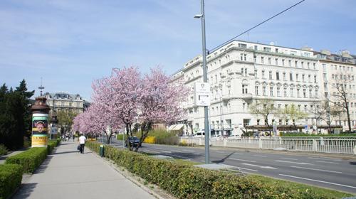 Vienna architectural marvel