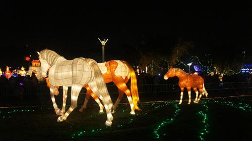 Taiwan: Lanterns of Love and Light