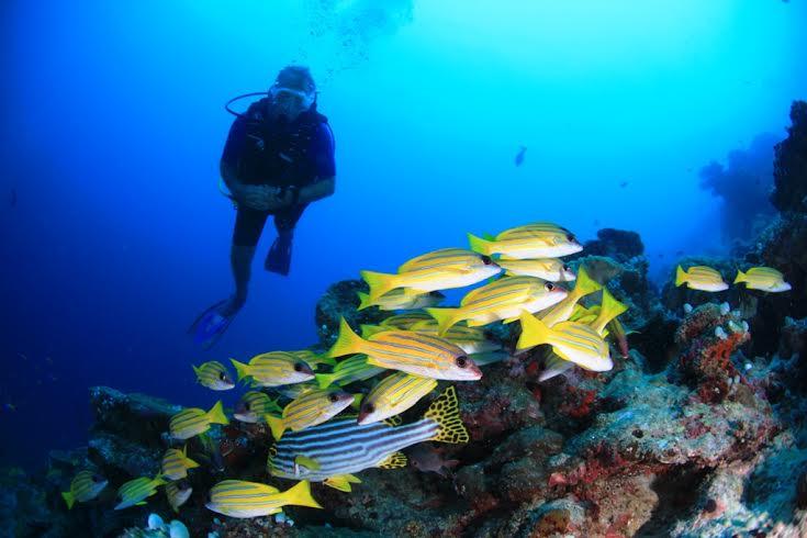 Maldives: Turquoise memories 