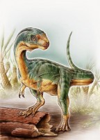 Bizarre platypus dinosaur discovered