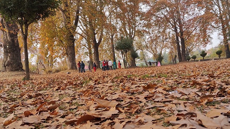 Autumn in Kashmir