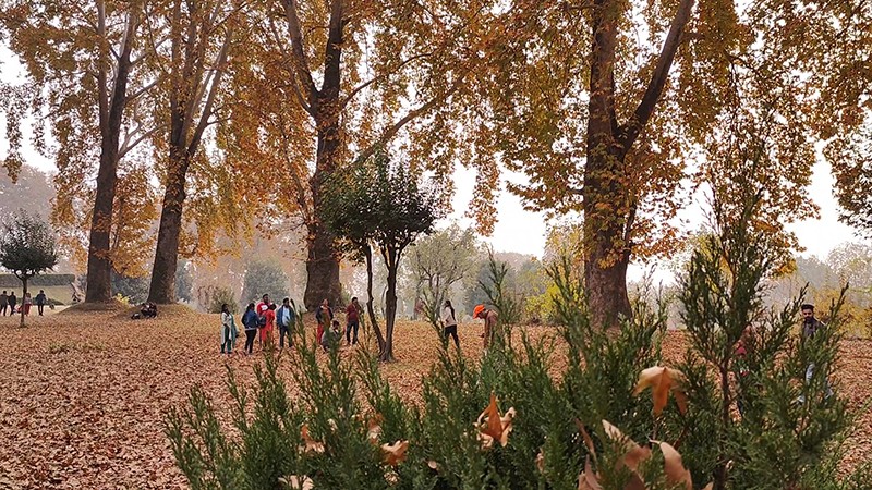 Autumn in Kashmir