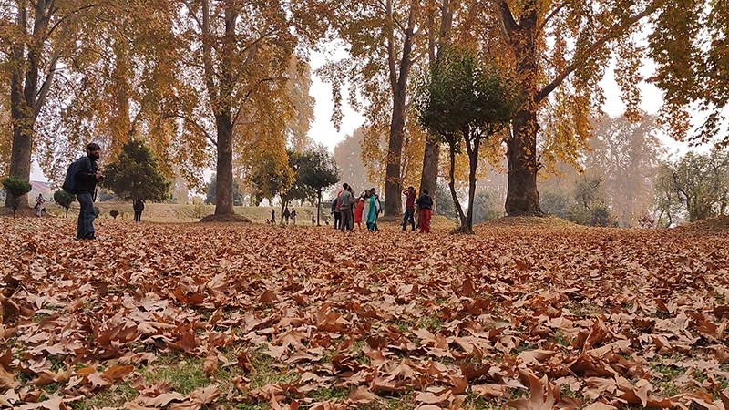 Autumn in Kashmir