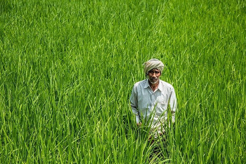 Digitizing land records in India and Pakistan reduces conflict, delays and corruption