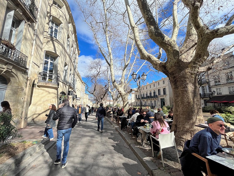 Montpellier: The southern France city basking in Mediterranean light