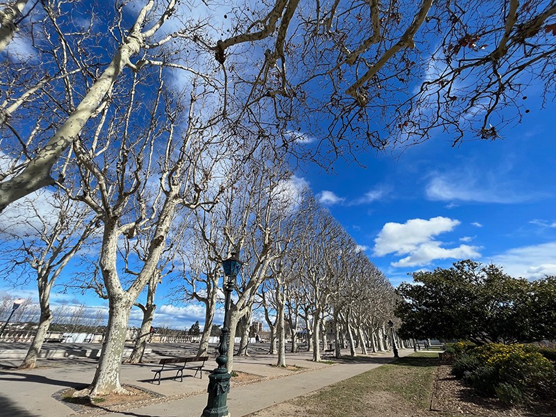 Montpellier: The southern France city basking in Mediterranean light