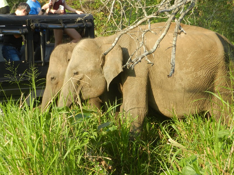 Sri Lanka: An offbeat itinerary in a destination for all seasons Sri Lanka: An offbeat itinerary in a destination for all seasons