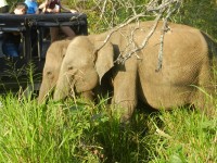 Sri Lanka: An offbeat itinerary in a destination for all seasons