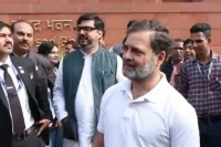 Rahul Gandhis quip on pets in Parliament rekindles dog Row, BJP slams disrespect Rahul Gandhis quip on pets in Parliament rekindles dog Row, BJP slams disrespect