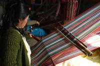 Six-day workshop on Traditional Lepcha Weaving to be organised at Pudung 