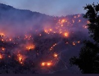 Record number of forest fires imperil Himachals ecology 